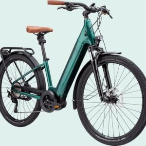 Cannondale Adventure Neo 1 EQ