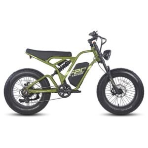 Fafrees F20 ultra 750W 20" Fat Bike