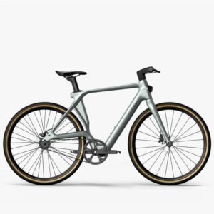 Fiido Air Vélo électrique Carbone