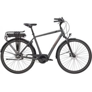 Trek District+ 1 Shimano Nexus 7V Grey 2022